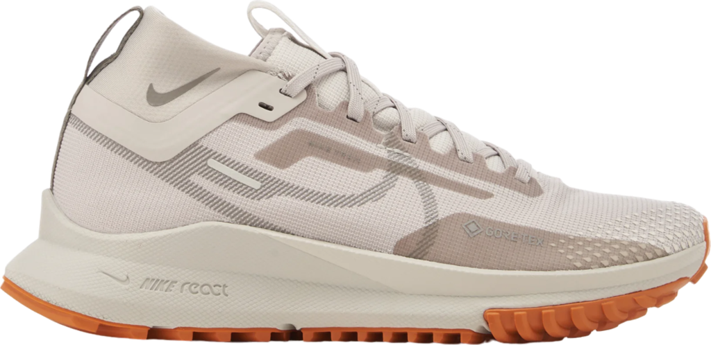 Pegasus Trail 4 GORE-TEX Argent