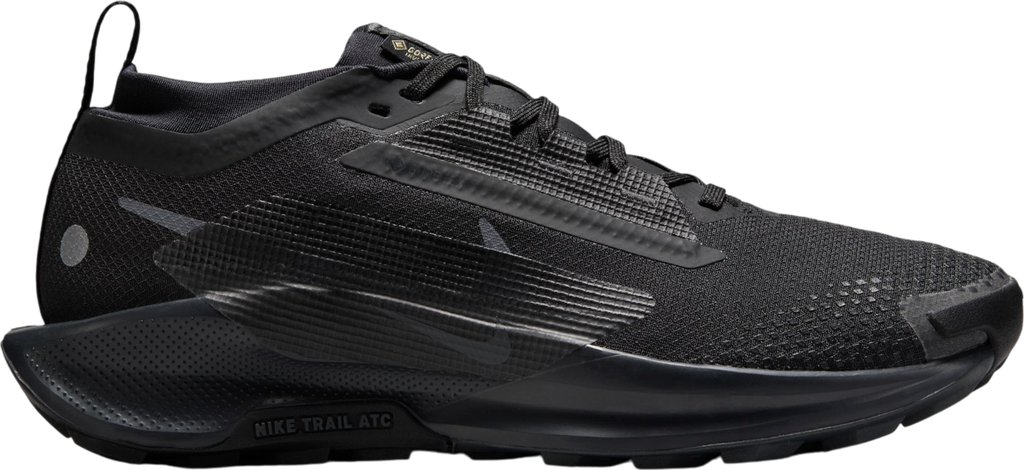 Pegasus Trail 5 GORE-TEX Noir