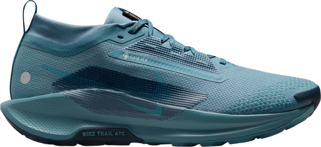 Pegasus Trail 5 GORE-TEX Bleu