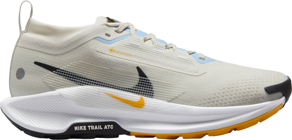 Pegasus Trail 5 GORE-TEX Argent