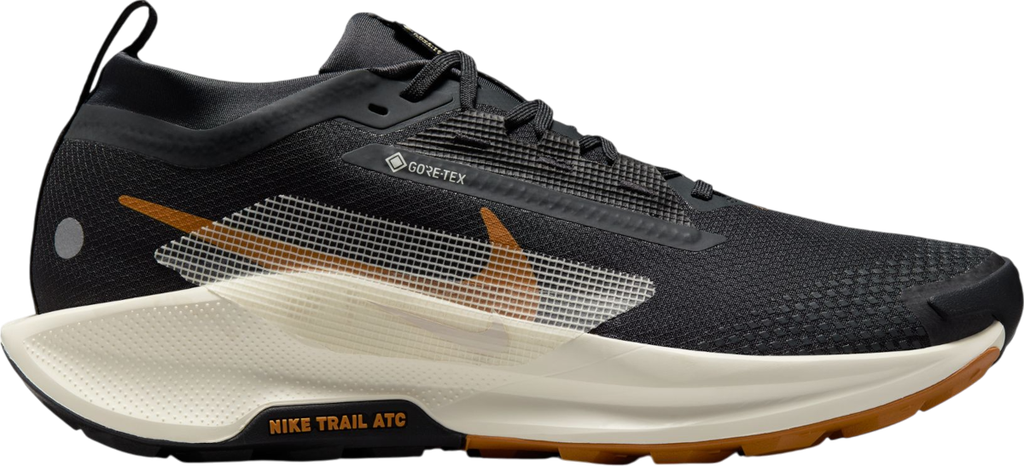 Pegasus Trail 5 GORE-TEX Noir