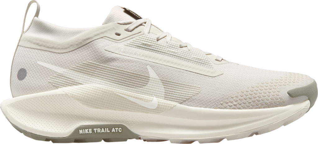 Pegasus Trail 5 GORE-TEX Argent