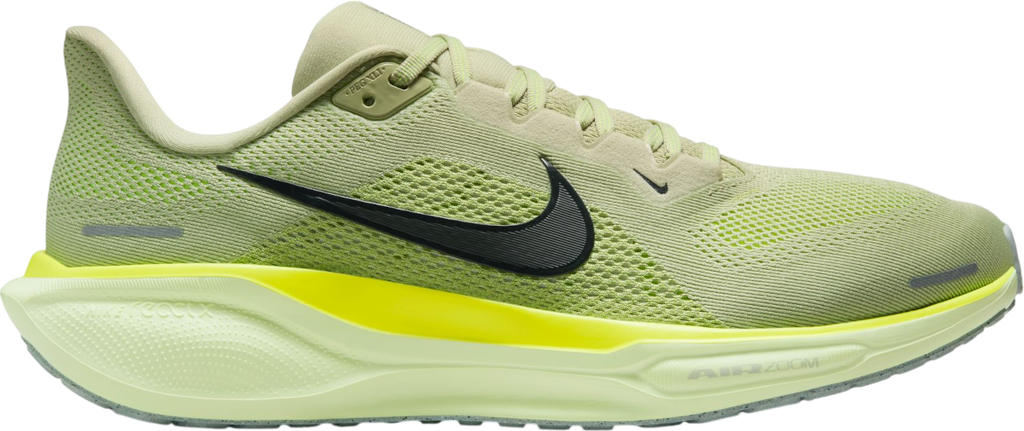 Pegasus 41 Vert