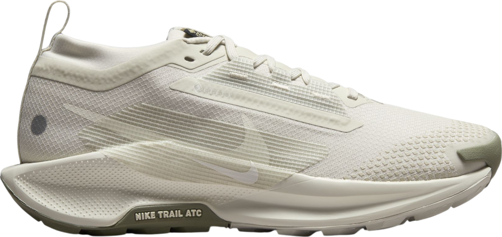 Pegasus Trail 5 GORE-TEX Argent