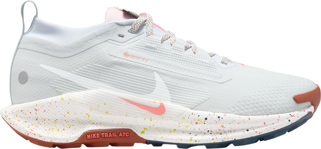 Pegasus Trail 5 GORE-TEX Argent