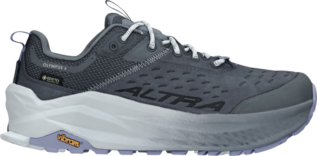 Olympus 6 Hike Low GTX Argent