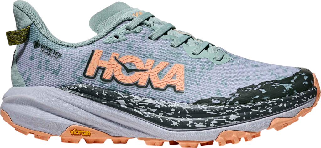 Speedgoat 6 Gore-Tex Argent