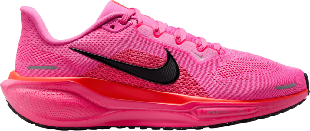 Pegasus 41 Rose