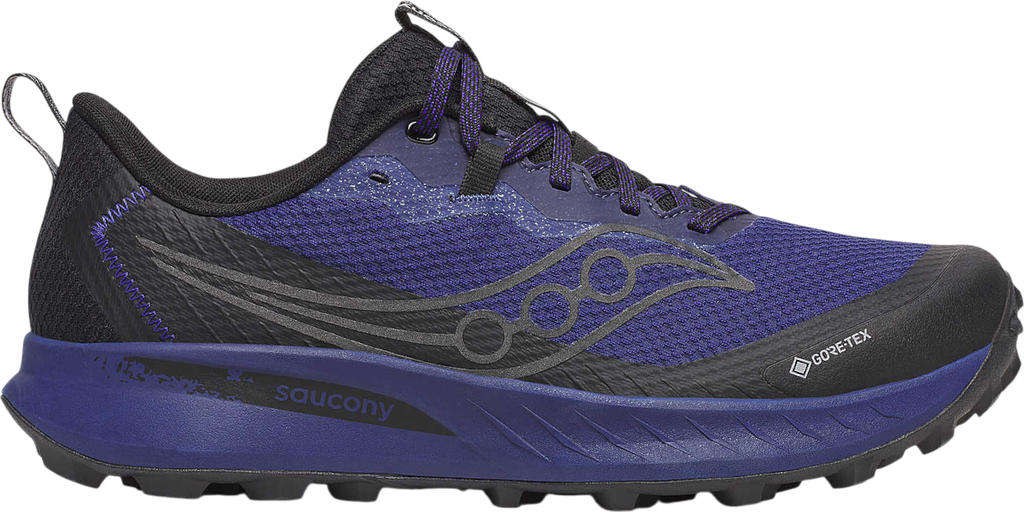 PEREGRINE 15 GTX Bleu
