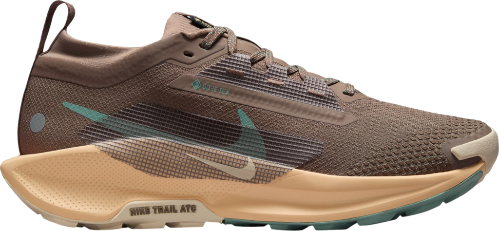 Pegasus Trail 5 GORE-TEX Marron