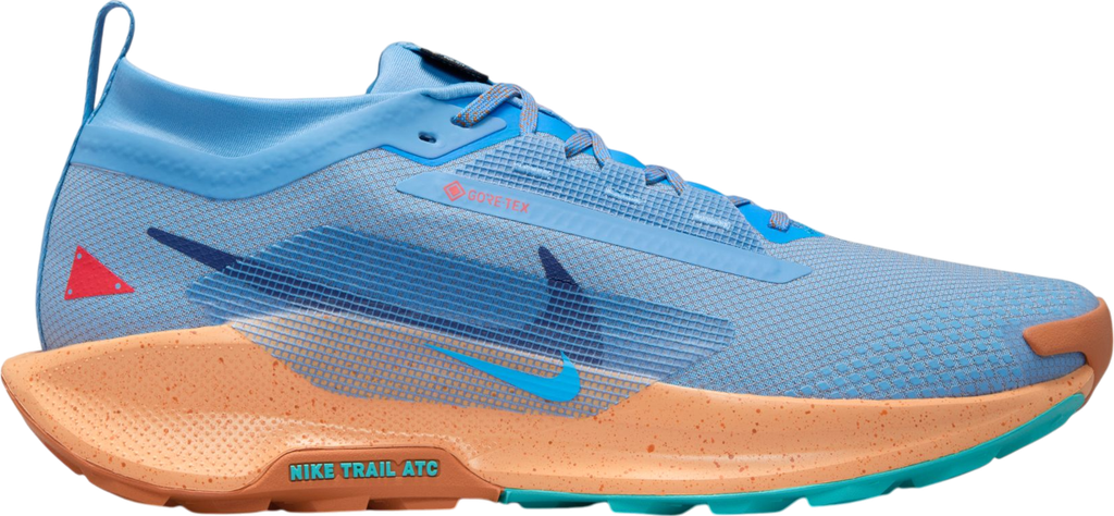 Pegasus Trail 5 GORE-TEX Bleu