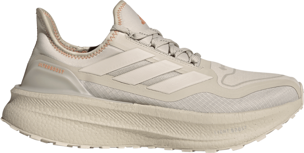 ULTRABOOST 5 GTX Argent