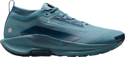 Pegasus Trail 5 GORE-TEX Bleu