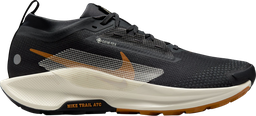 Pegasus Trail 5 GORE-TEX Noir
