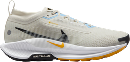 Pegasus Trail 5 GORE-TEX Argent