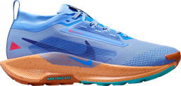 Pegasus Trail 5 GORE-TEX Bleu
