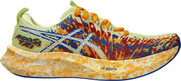 NOOSA TRI 16 Multicolore