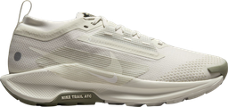 Pegasus Trail 5 GORE-TEX Argent