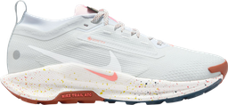 Pegasus Trail 5 GORE-TEX Argent