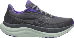 TRIUMPH 23 GTX Argent