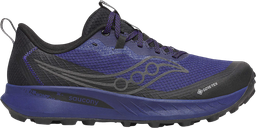 PEREGRINE 15 GTX Bleu