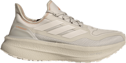 ULTRABOOST 5 GTX Argent