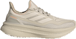 ULTRABOOST 5 GTX W Argent